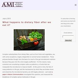 What happens to dietary fiber after we eat it? — The American Microbiome Institute