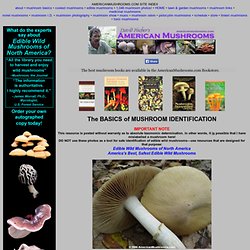 The BASICS of MUSHROOM IDENTIFICATION - AmericanMushrooms.com