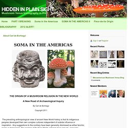Soma in the Americas - HIDDEN IN PLAIN SIGHT