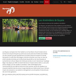 Amérindiens de Guyane: Menace actuelle