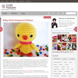 Amigurumi Pattern - Baby Chick Amigurumi