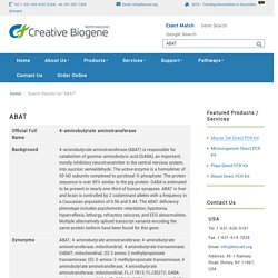 4-aminobutyrate aminotransferase