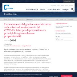 L’orientamento del giudice amministrativo sulle misure di contenimento del COVID-19: Principio di precauzione vs principi di ragionevolezza e proporzionalità