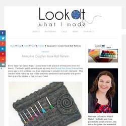 Ammonite Crochet Hook Roll Pattern ⋆ Look At What I Made