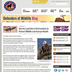 Get the Lead Out of Ammunition to Protect Wildlife and Human Health