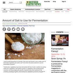 Amount of Salt to Use for Fermentation - Real Food