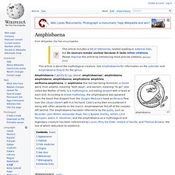 Amphisbaena