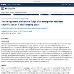 Variable genome evolution in fungi after transposon-mediated amplification of a housekeeping gene