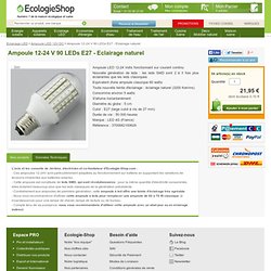 Ampoule 12v 90 LEDs E27 - Eclairage naturel Ampoule LED 12V DC