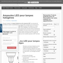 Ampoules LED pour lampes halogènes