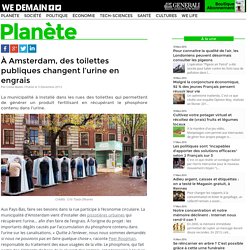 À Amsterdam, des toilettes publiques changent l’urine en engrais