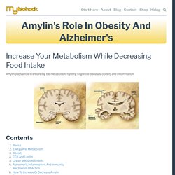 Amylin's Role in Obesity and Alzheimer's