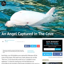 An Angel Captured in The Cove