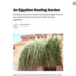 An Egyptian Healing Garden
