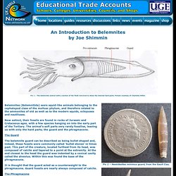An Introduction to Ammonites