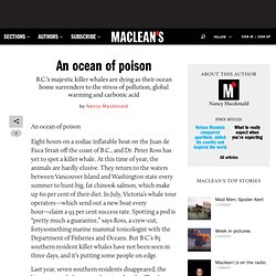 An ocean of poison - Environment, Science & Technology