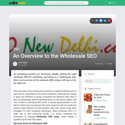 An Overview to the Wholesale SEO