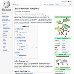 Anadenanthera peregrina
