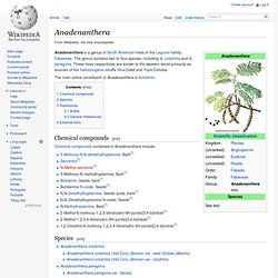 Anadenanthera