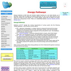 Anaerobic and aerobic Energy Pathways