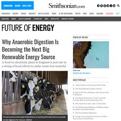Why Anaerobic Digestion Is Becoming the Next Big Renewable Energy Source