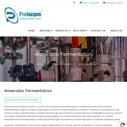 Anaerobic Fermentation - Profacgen