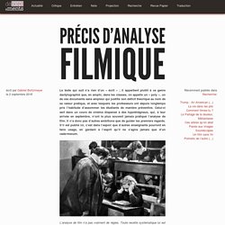 Précis d’analyse filmique - Débordements