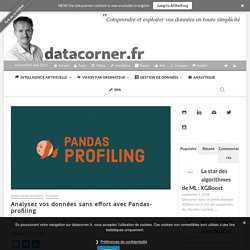 Analysez vos données sans effort avec Pandas-profiling - datacorner par Benoit Cayla