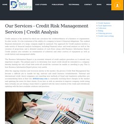 Credit Analysis and Risk Mangement Services
