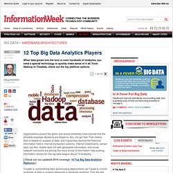 12 Top Big Data Analytics Players