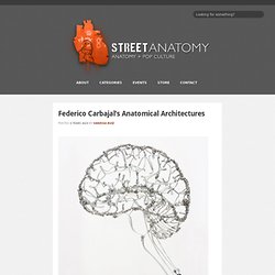 Federico Carbajal’s Anatomical Architectures at Street Anatomy