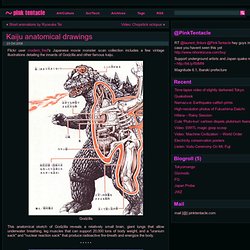 Kaiju anatomical drawings