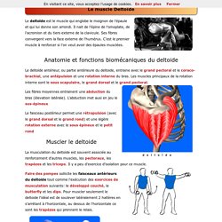 Anatomie pour la musculation