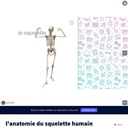 l&#39;anatomie du squelette humain by sandvilelon on Genially