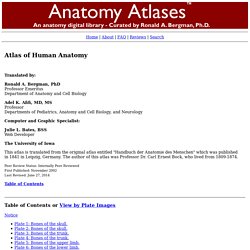 Anatomy Atlas - Atlas of Human Anatomy - Anatomy Atlases