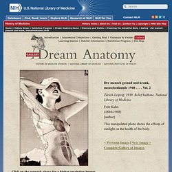 Dream Anatomy: Gallery: Fritz Kahn: Der mensch gesund und krank...