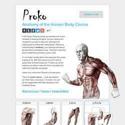 Anatomy of the Human Body for Artists Course