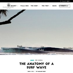 The Anatomy of a Surf Wave - HT's Mentawai Surf Resort