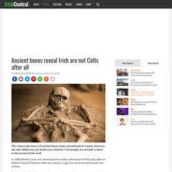 Ancient bones reveal Irish are not Celts after all
