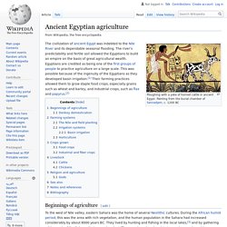 Farming in Ancient Egypt