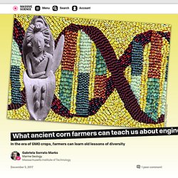 What ancient corn farmers can teach us about engineering crops for climate change