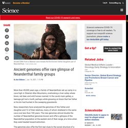 Ancient genomes offer rare glimpse of Neanderthal family groups
