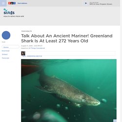 Talk About An Ancient Mariner! Greenland Shark Is At Least 272 Years Old