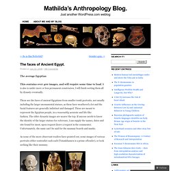 Mathilda’s Anthropology Blog.