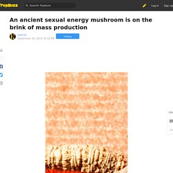 An ancient sexual energy mushroom is on the brink of mass production