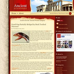 Ancient History Blog