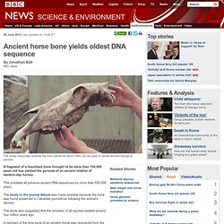 Ancient horse bone yields oldest DNA sequence