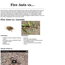 And the winner is - Fire Ants!