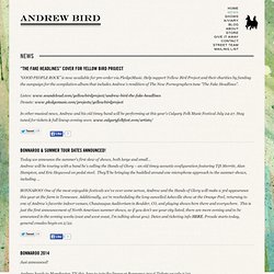 Andrew Bird