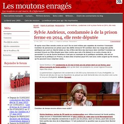 Sylvie Andrieux, condamnée à de la prison ferme en 2014, elle reste députée